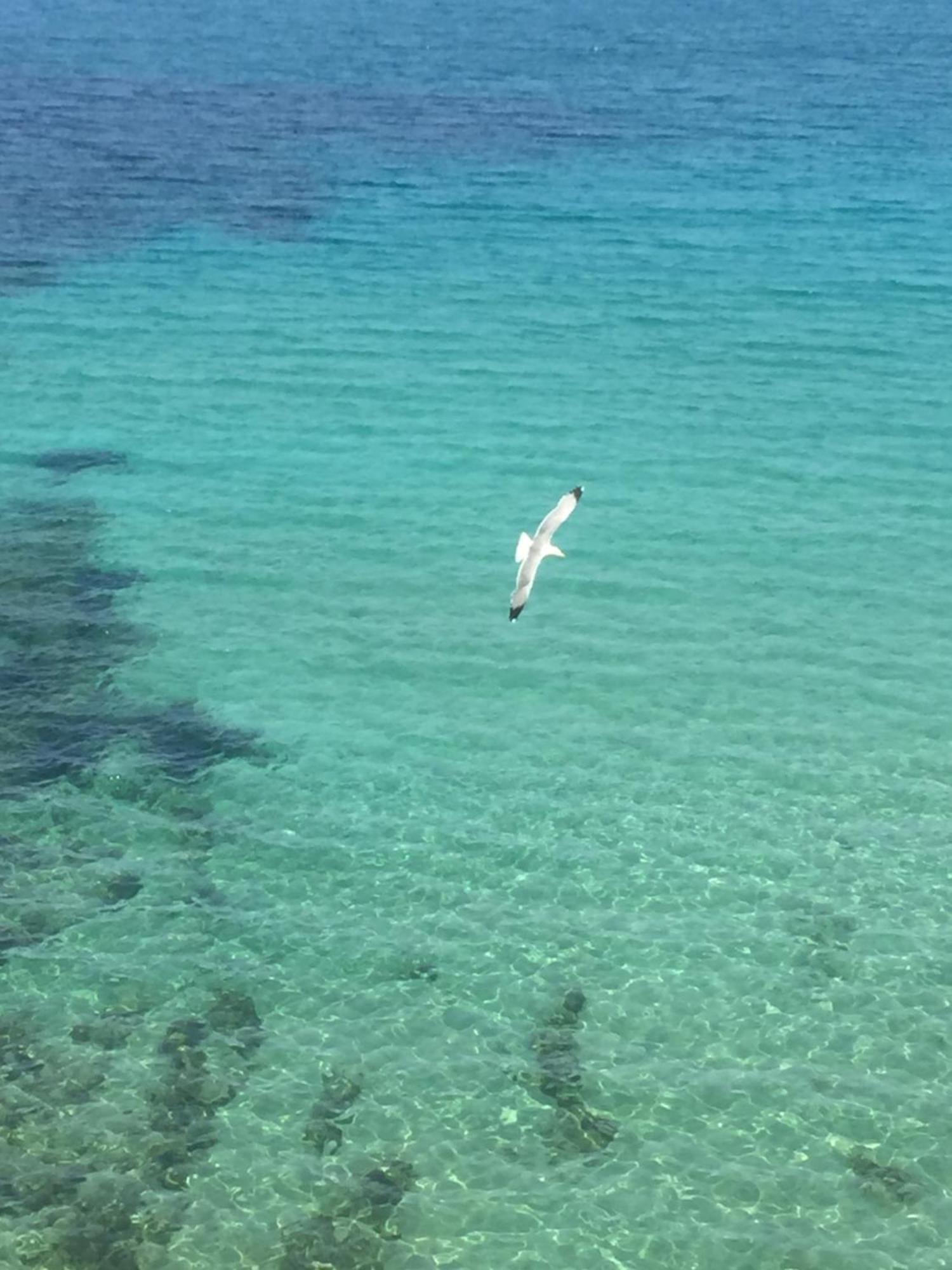Sol Y Mar Camere E Appartamenti Castellammare del Golfo Exteriör bild